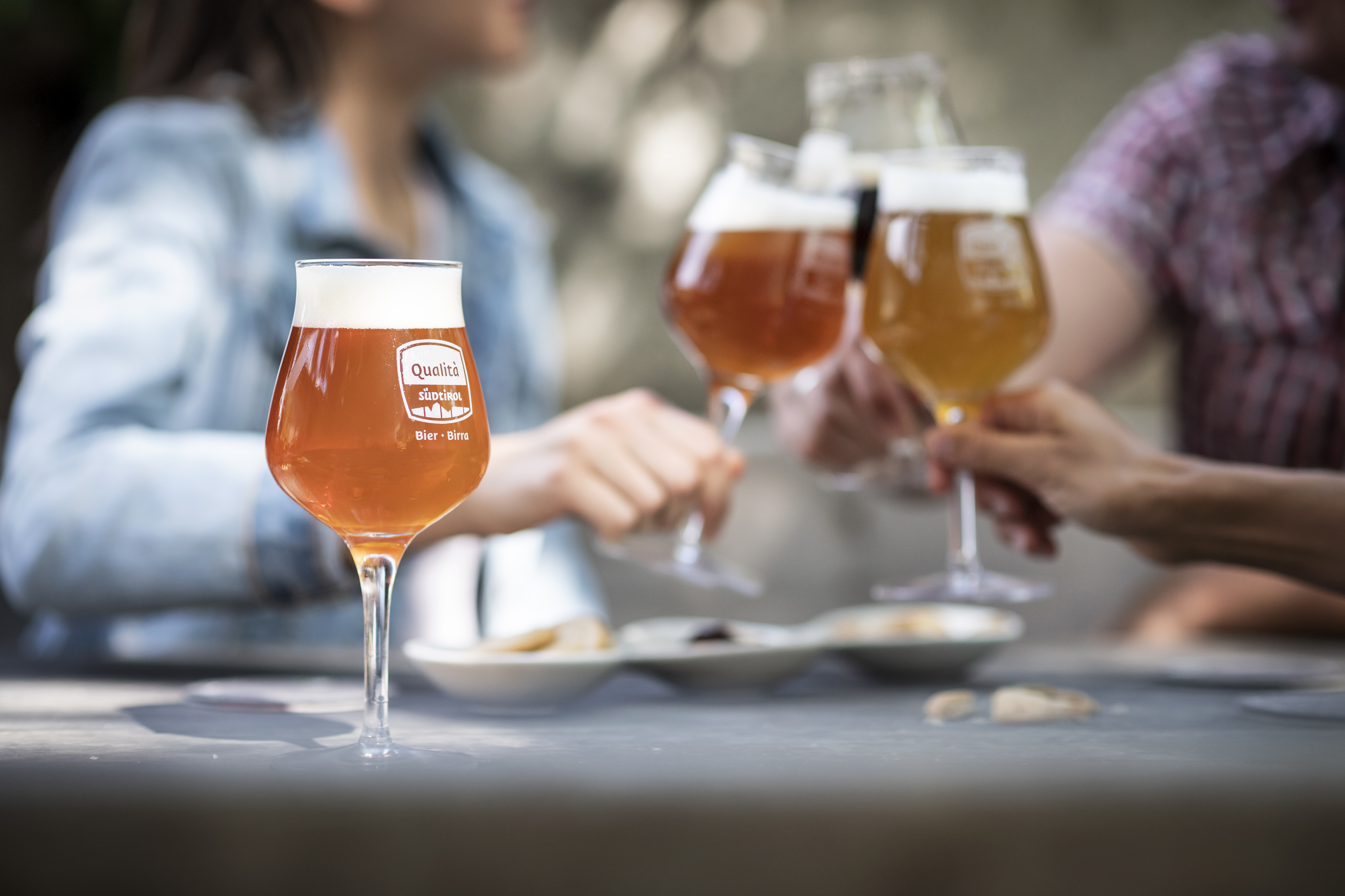 IDM Südtirol Alto Adigealex Filz Bier