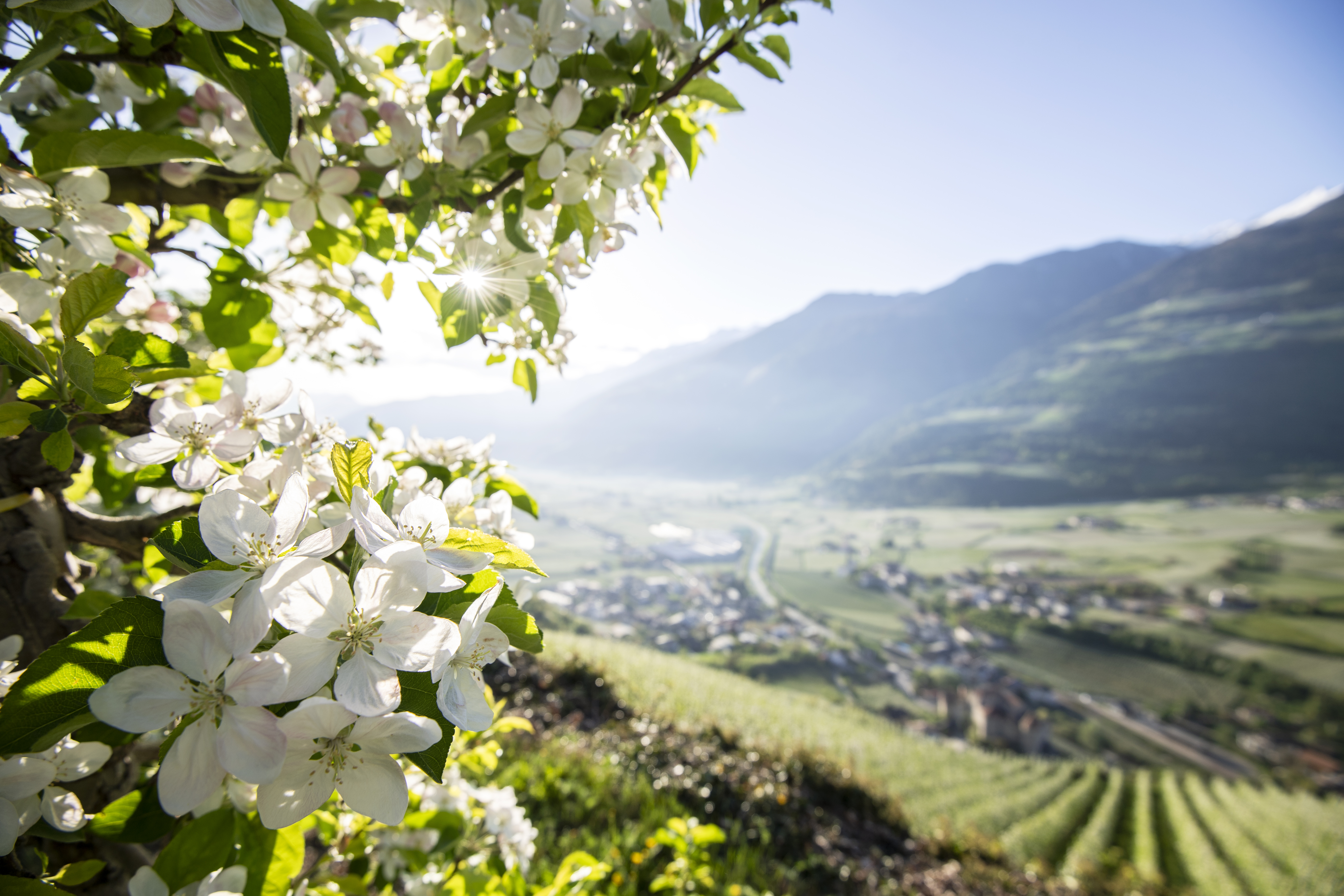 IDM Südtiroler Alto Adige ©Alex Filz Lente